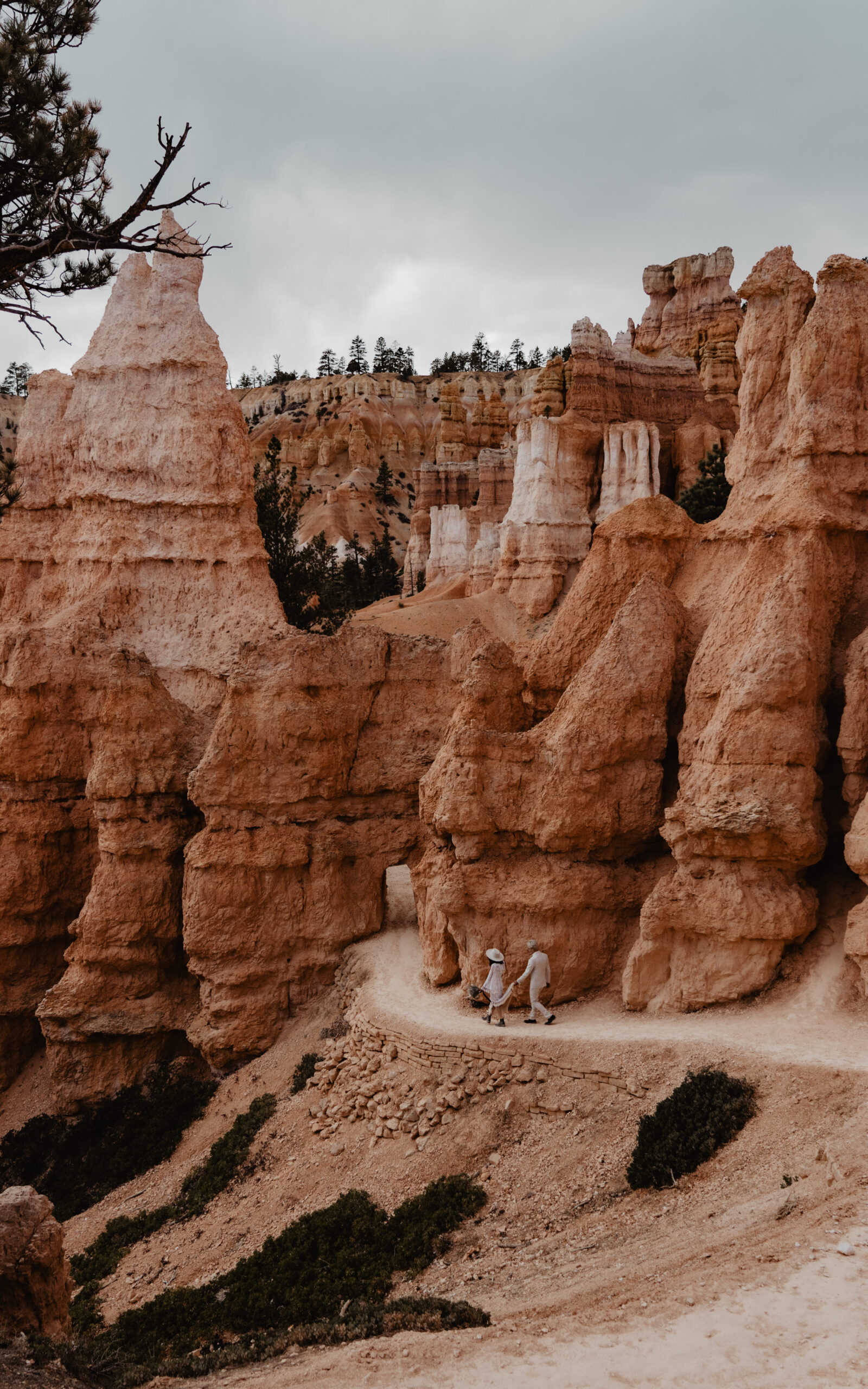 Elopement in Bryce canyon